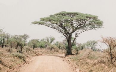 Innovation and New Ventures in Africa — The Road Ahead