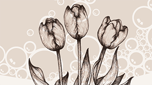 Tulips, Gold Rush, And Dotcom