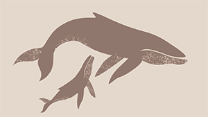 Corporate Adventure in Venture