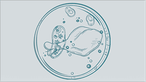 Deep Innovation in Food Ventures