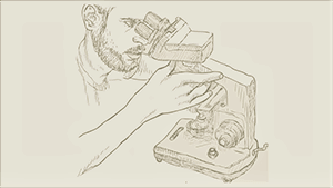 The Uniqueness of Stem Cell Ecosystems